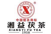 湘益”茯茶成为第四届清真食品及用品展览会上的明星产品